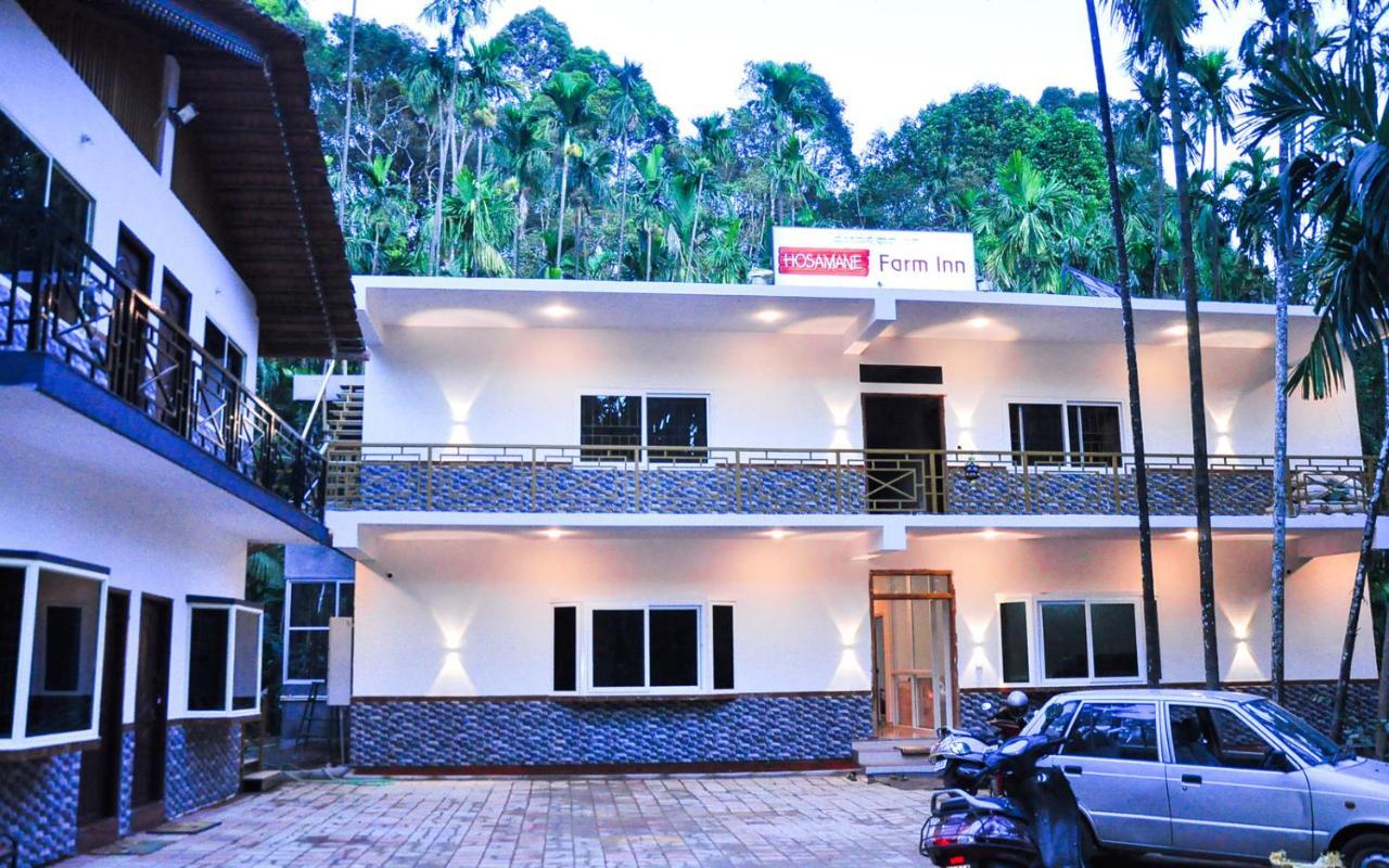 Hosamane Farm Inn Sringeri Экстерьер фото