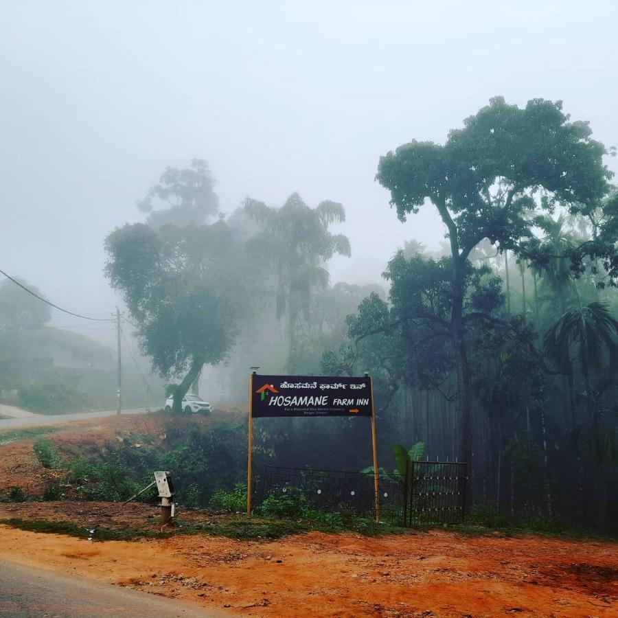 Hosamane Farm Inn Sringeri Экстерьер фото