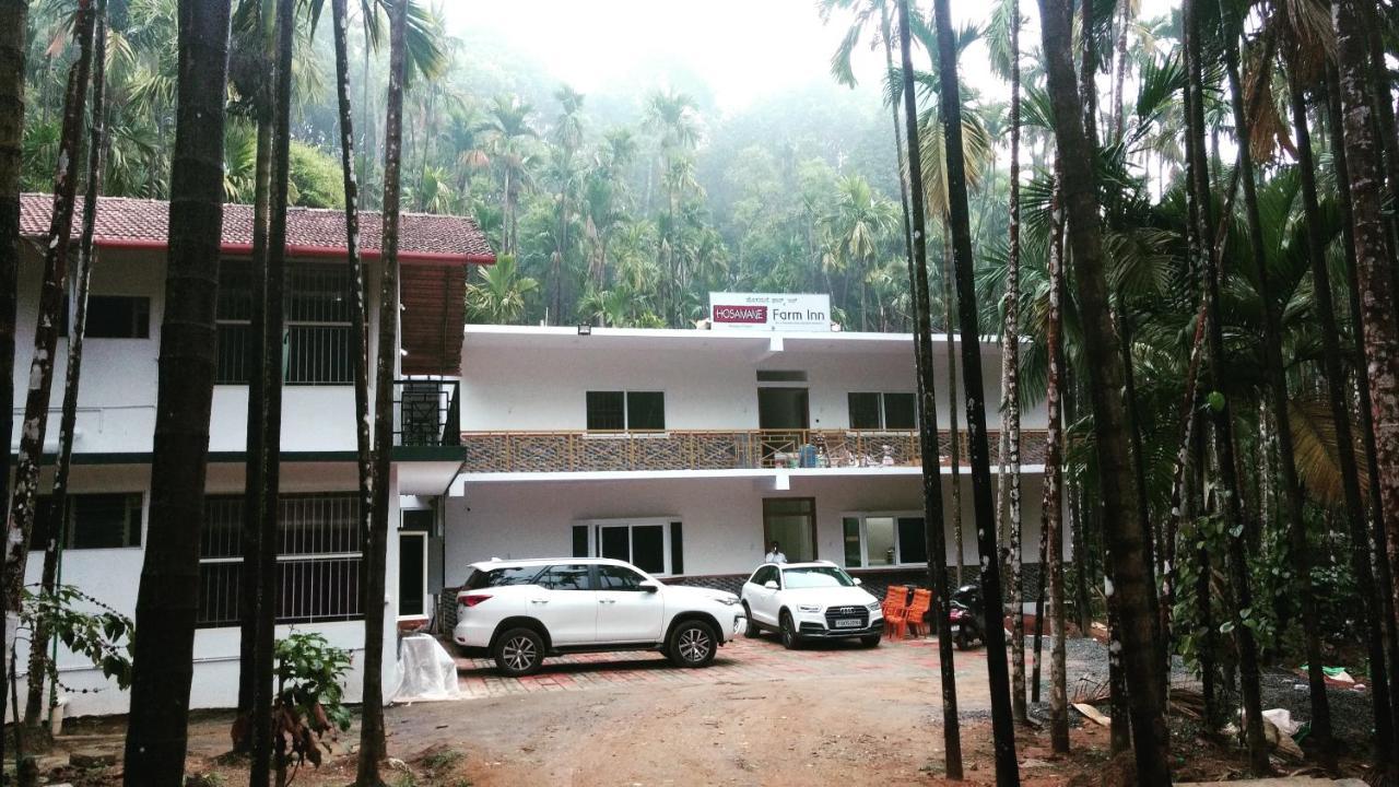 Hosamane Farm Inn Sringeri Экстерьер фото