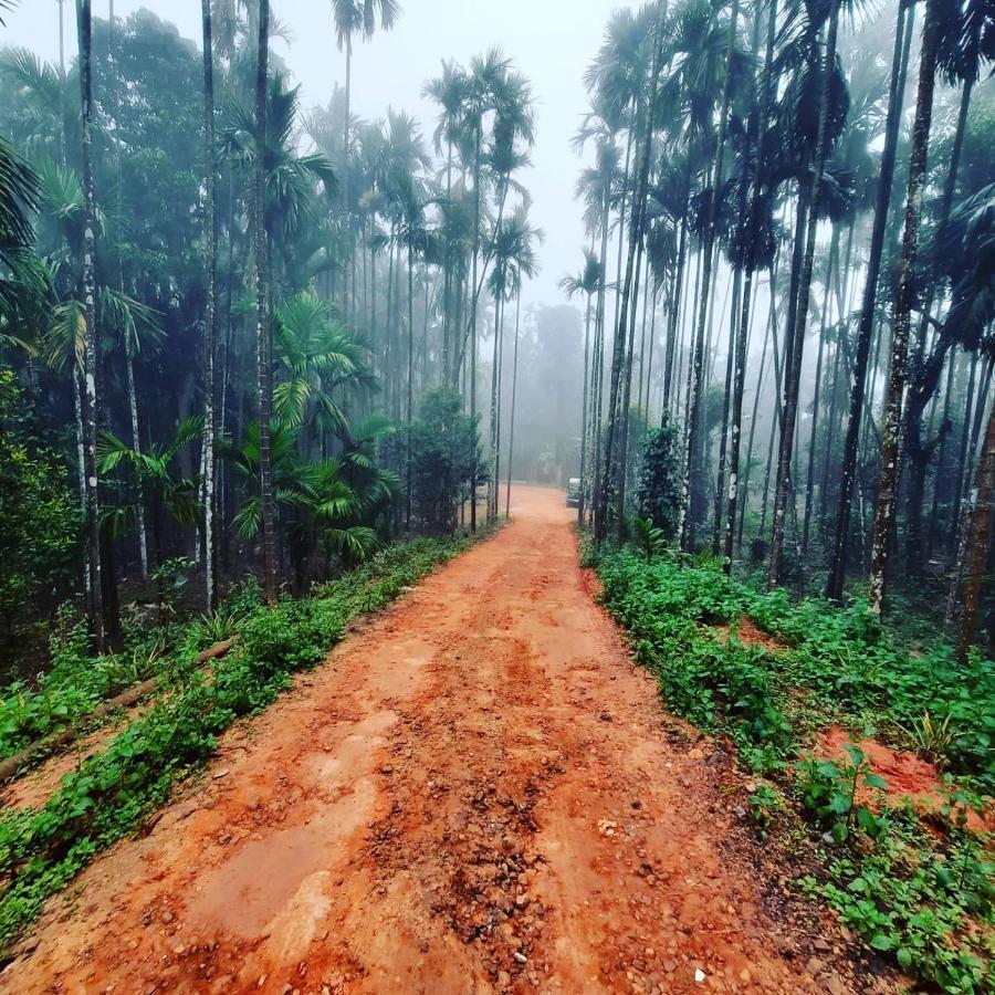Hosamane Farm Inn Sringeri Экстерьер фото