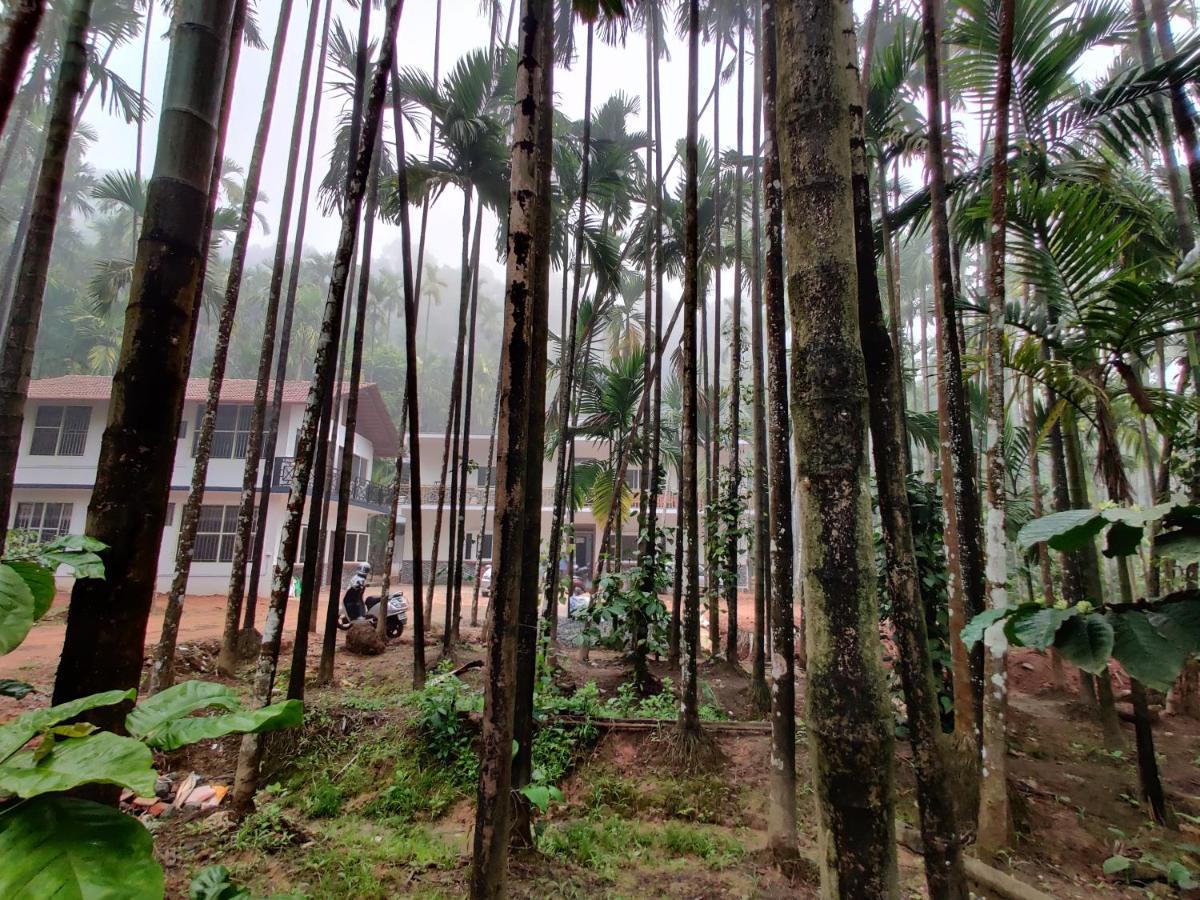 Hosamane Farm Inn Sringeri Экстерьер фото