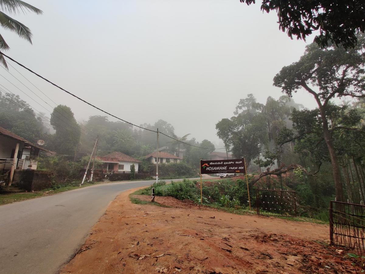 Hosamane Farm Inn Sringeri Экстерьер фото