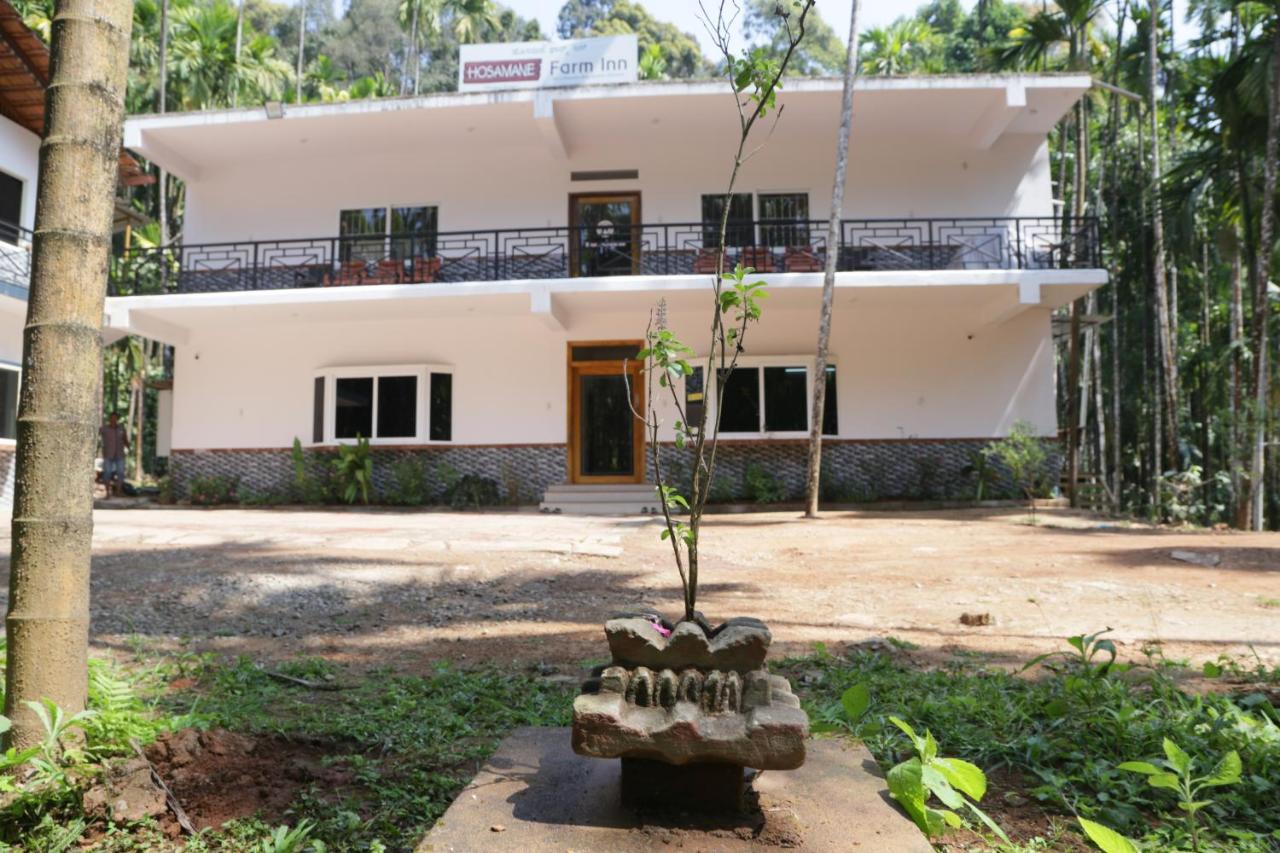 Hosamane Farm Inn Sringeri Экстерьер фото