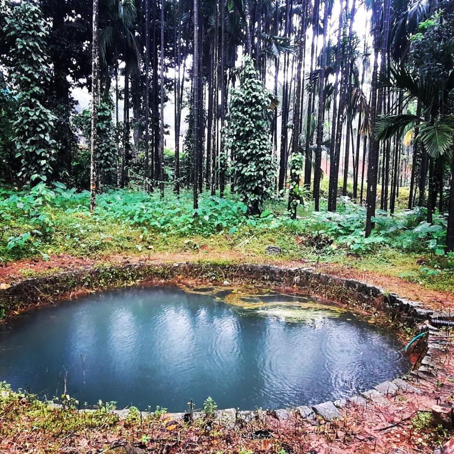 Hosamane Farm Inn Sringeri Экстерьер фото