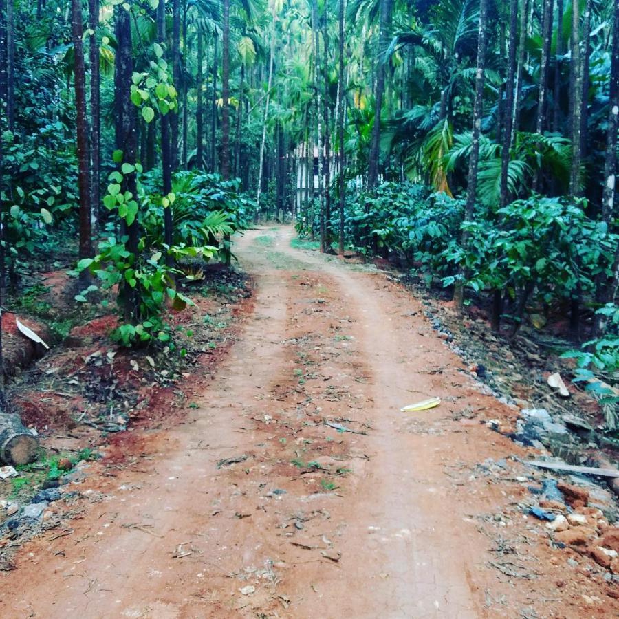 Hosamane Farm Inn Sringeri Экстерьер фото