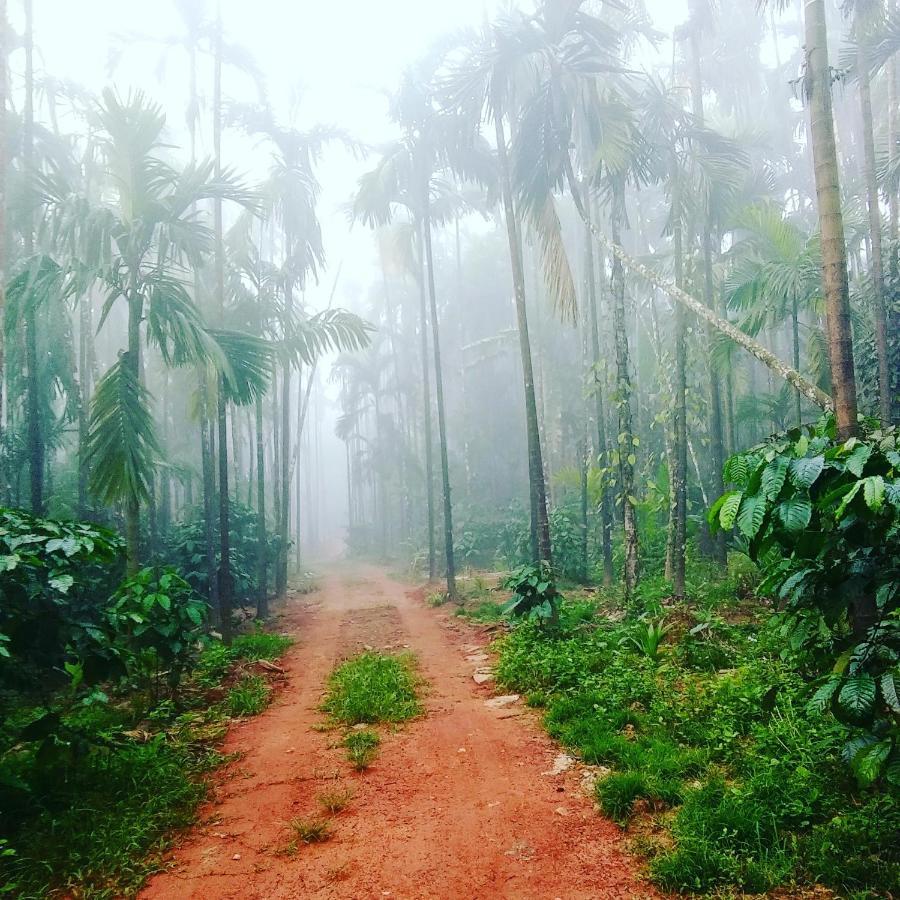 Hosamane Farm Inn Sringeri Экстерьер фото
